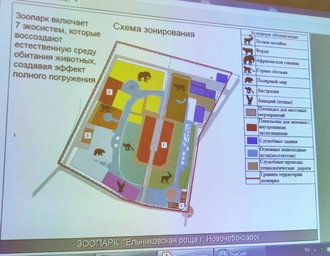 Слоны и 450 миллионов рублей: как поменяется зоопарк в Новочебоксарске —  Чувашинформ.рф